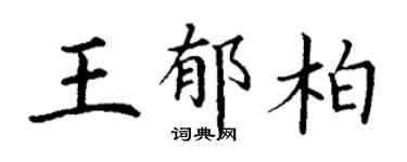 丁谦王郁柏楷书个性签名怎么写