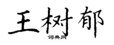 丁谦王树郁楷书个性签名怎么写
