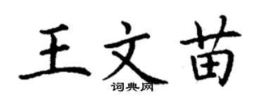 丁谦王文苗楷书个性签名怎么写