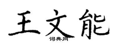 丁谦王文能楷书个性签名怎么写
