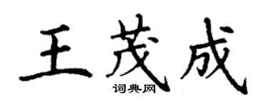 丁谦王茂成楷书个性签名怎么写