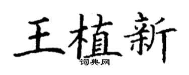 丁谦王植新楷书个性签名怎么写