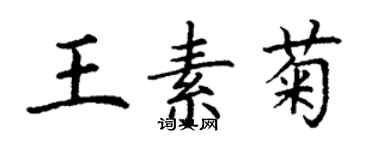 丁谦王素菊楷书个性签名怎么写