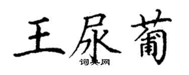 丁谦王尿葡楷书个性签名怎么写