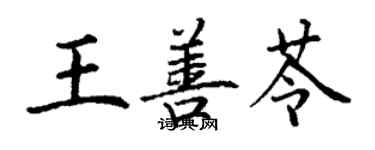 丁谦王善苓楷书个性签名怎么写