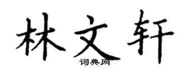 丁谦林文轩楷书个性签名怎么写