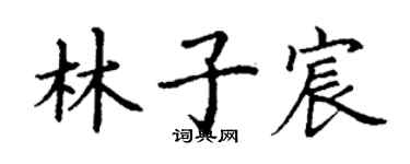 丁谦林子宸楷书个性签名怎么写