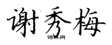 丁谦谢秀梅楷书个性签名怎么写