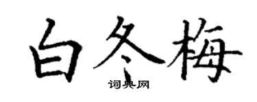 丁谦白冬梅楷书个性签名怎么写
