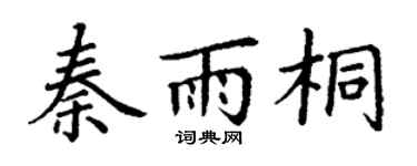 丁谦秦雨桐楷书个性签名怎么写
