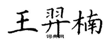 丁谦王羿楠楷书个性签名怎么写