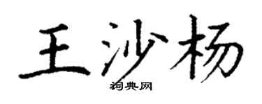 丁谦王沙杨楷书个性签名怎么写