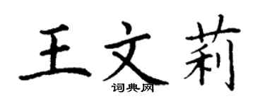丁谦王文莉楷书个性签名怎么写
