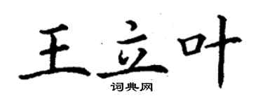 丁谦王立叶楷书个性签名怎么写