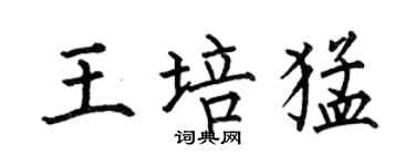 何伯昌王培猛楷书个性签名怎么写