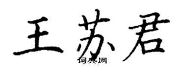 丁谦王苏君楷书个性签名怎么写