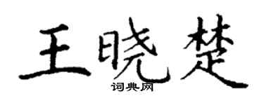 丁谦王晓楚楷书个性签名怎么写
