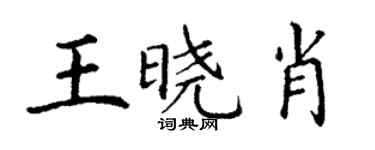 丁谦王晓肖楷书个性签名怎么写