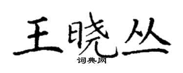 丁谦王晓丛楷书个性签名怎么写
