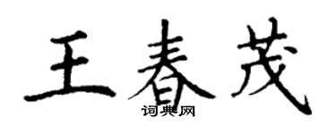 丁谦王春茂楷书个性签名怎么写