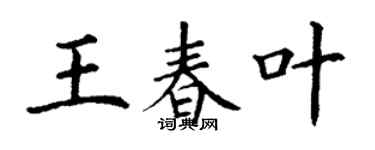 丁谦王春叶楷书个性签名怎么写