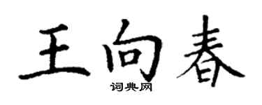 丁谦王向春楷书个性签名怎么写