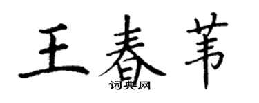 丁谦王春苇楷书个性签名怎么写