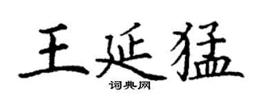 丁谦王延猛楷书个性签名怎么写