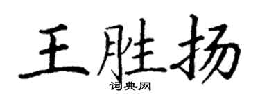 丁谦王胜扬楷书个性签名怎么写