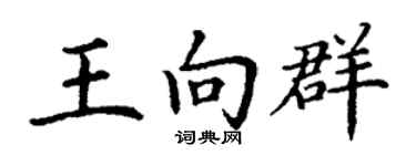 丁谦王向群楷书个性签名怎么写