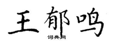 丁谦王郁鸣楷书个性签名怎么写