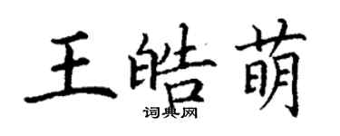 丁谦王皓萌楷书个性签名怎么写