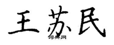 丁谦王苏民楷书个性签名怎么写
