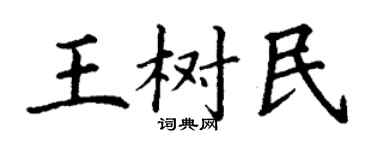 丁谦王树民楷书个性签名怎么写