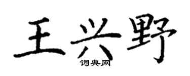 丁谦王兴野楷书个性签名怎么写
