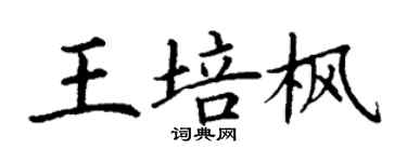 丁谦王培枫楷书个性签名怎么写