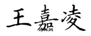 丁谦王嘉凌楷书个性签名怎么写