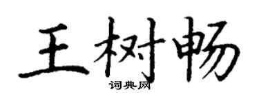 丁谦王树畅楷书个性签名怎么写
