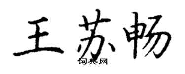丁谦王苏畅楷书个性签名怎么写