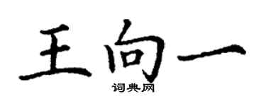 丁谦王向一楷书个性签名怎么写