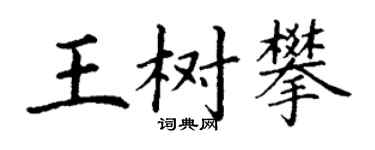丁谦王树攀楷书个性签名怎么写