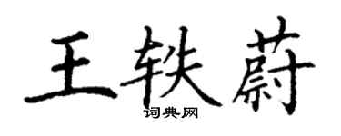 丁谦王轶蔚楷书个性签名怎么写