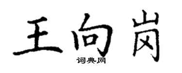 丁谦王向岗楷书个性签名怎么写