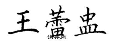 丁谦王蕾盅楷书个性签名怎么写