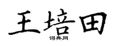 丁谦王培田楷书个性签名怎么写