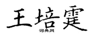 丁谦王培霆楷书个性签名怎么写