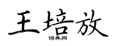 丁谦王培放楷书个性签名怎么写
