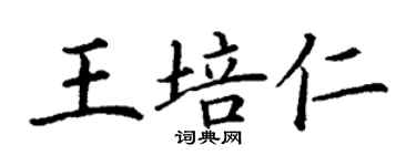 丁谦王培仁楷书个性签名怎么写