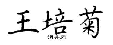 丁谦王培菊楷书个性签名怎么写