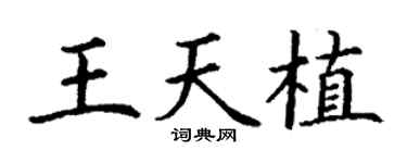 丁谦王天植楷书个性签名怎么写
